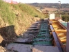 Pato srl