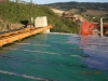 Pato srl